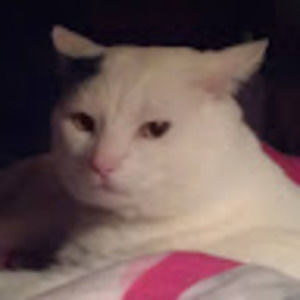 Meet your Posher, Kendra